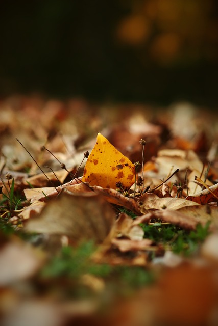 积极的心态 积极的心态