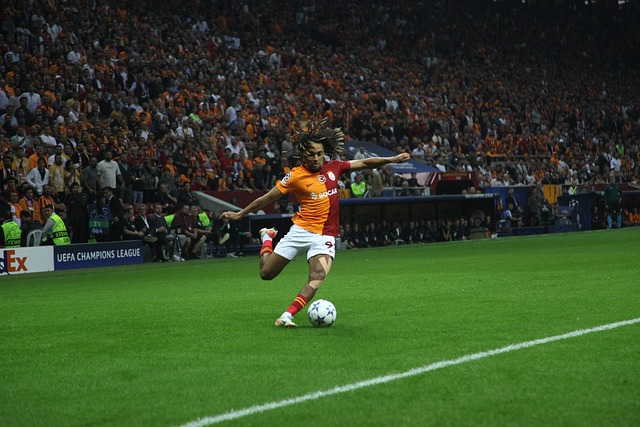 优化球队内 优化球队内