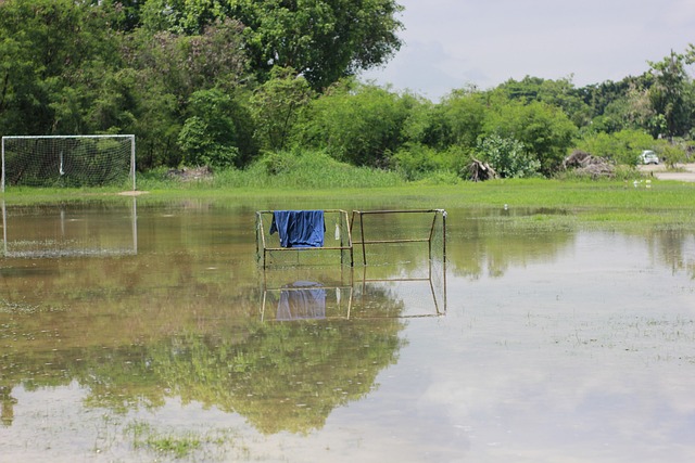 反觀在曼聯 反觀在曼聯