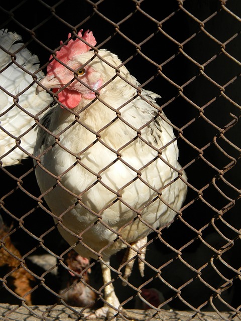 法控制投资 法控制投资