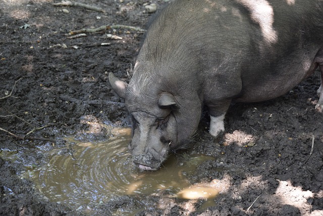 真正的運動 真正的運動