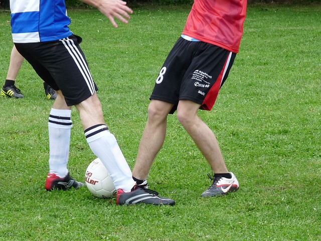 应许之地 应许之地