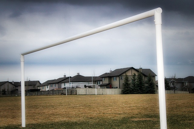 秀迅速崛起 秀迅速崛起