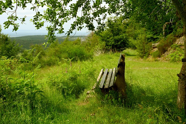 们提供了一 们提供了一