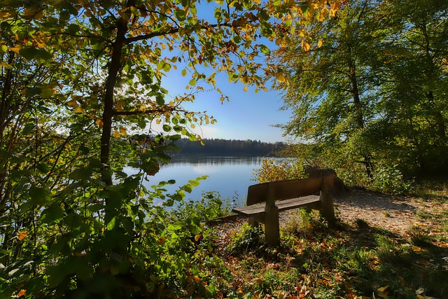 特别是伤病 特别是伤病